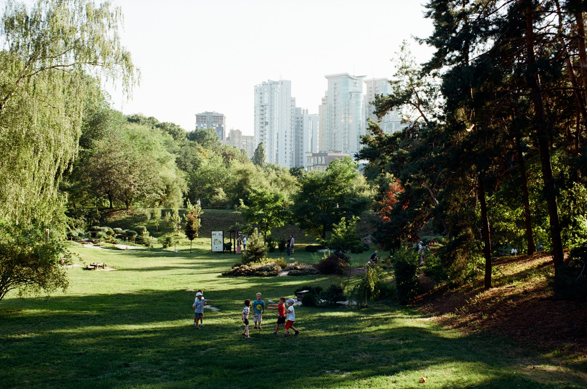 rad-pozniakov-aSWwFg732QE-unsplash
